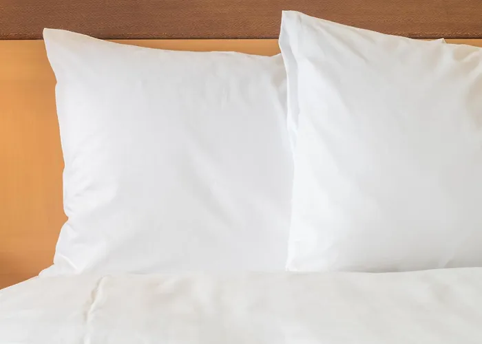 Hotel William Tell Mod Collection By Sonesta Countryside